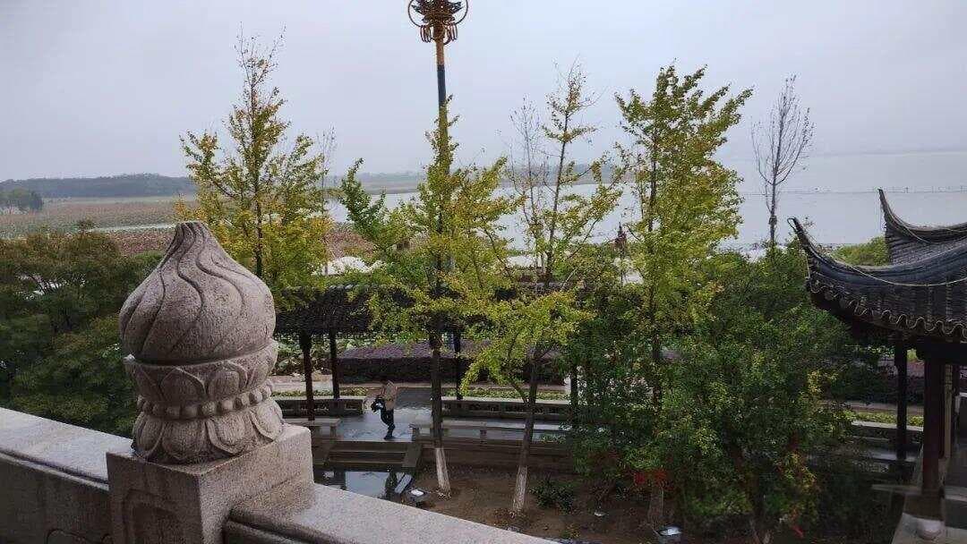 天伦之乐是最平凡而又千金难买的幸福