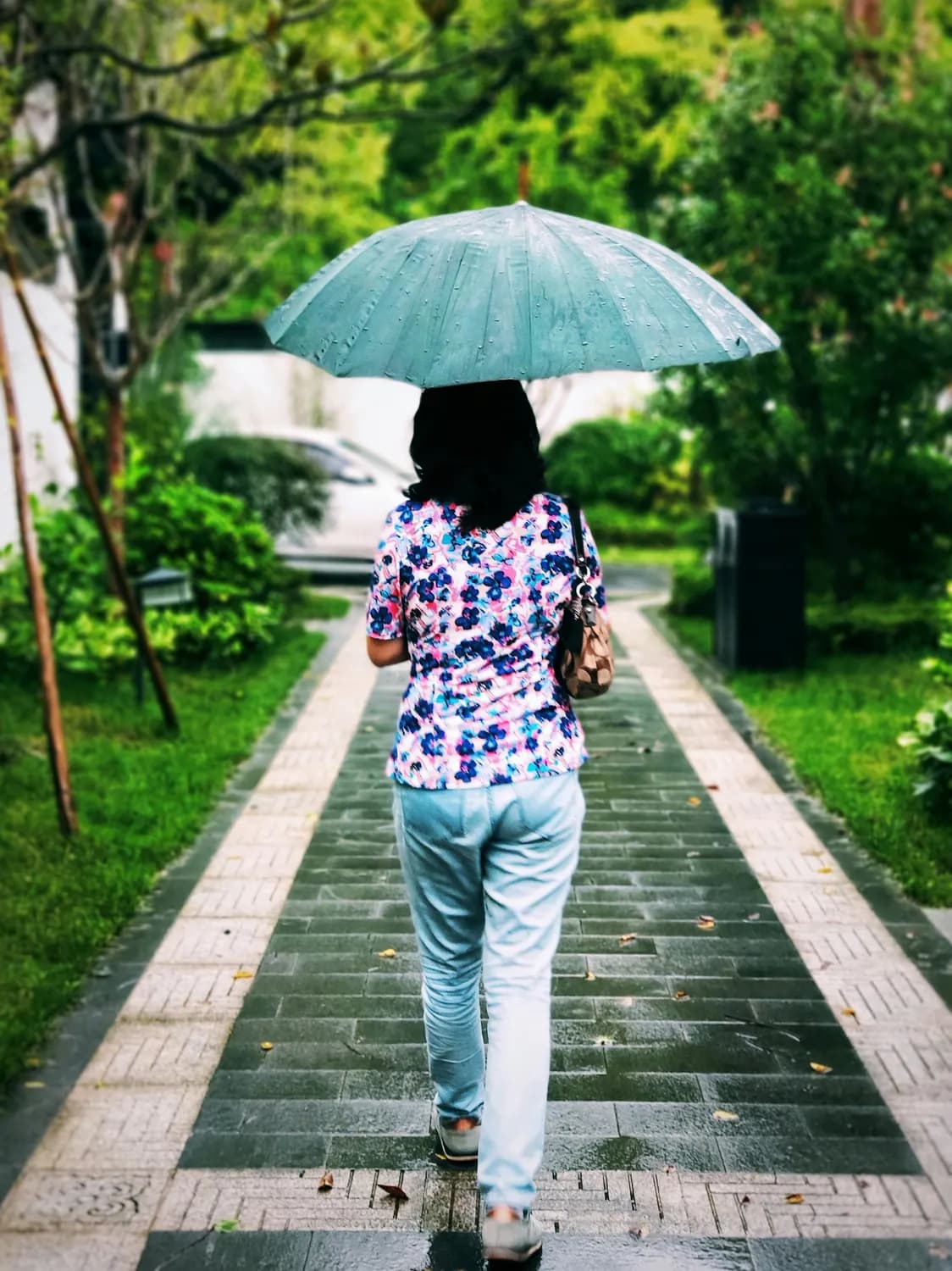 感恩节必听：《母亲》歌曲中的深情告白