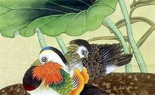十二生肖属猪的性格特点