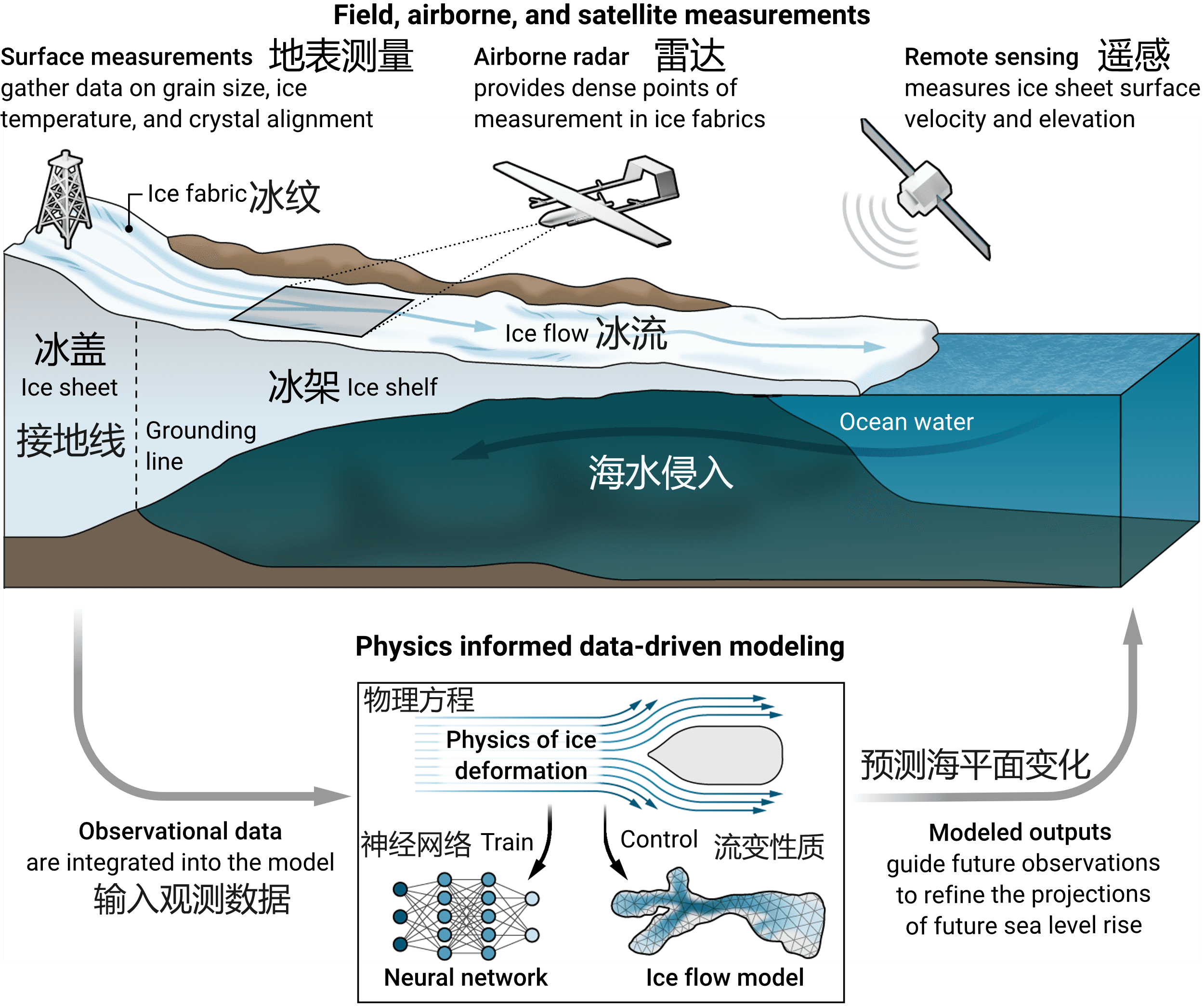 Science：深度学习揭示南极冰架复杂流动规律