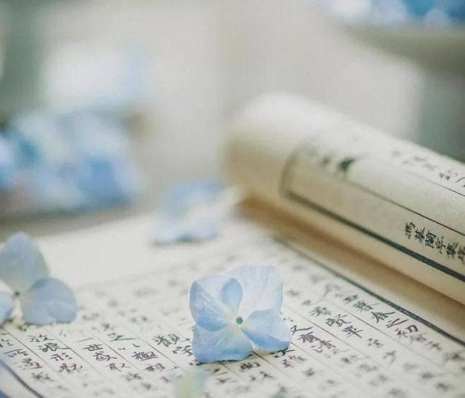 科学方法传播与书籍的文化创新力