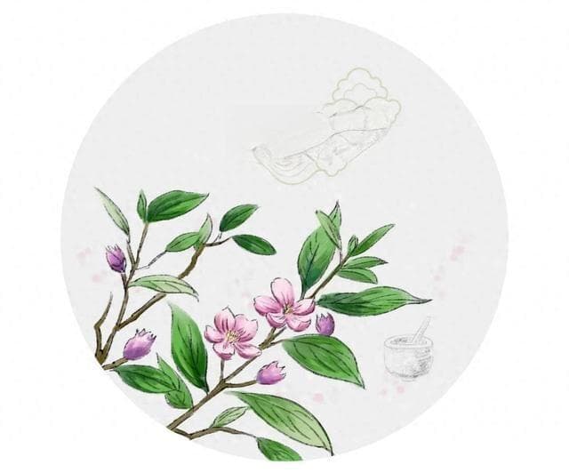 黏液溶解促排剂桃金娘油：鼻窦炎支气管炎的对症治疗