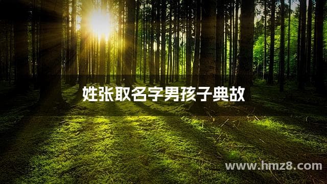 姓张取名字男孩子典故
