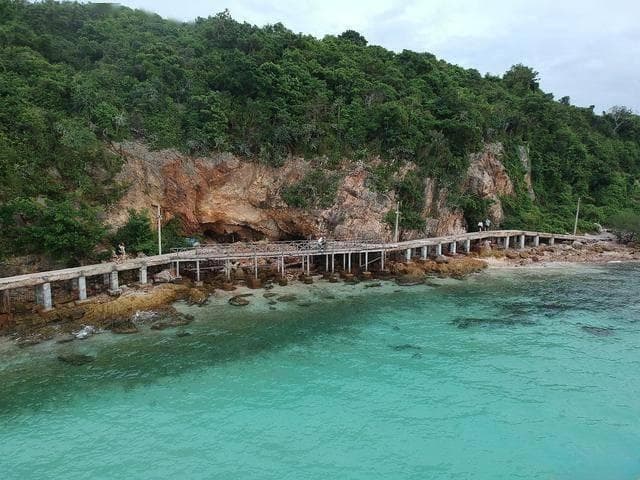 陵水南湾猴岛生态旅游区，入冬2日游攻略：探寻猕猴的家园