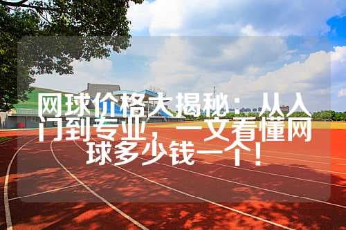 网球价格全解析：从入门到专业，不同需求下的选购指南