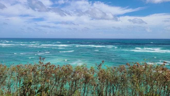 还在沉迷海岛蓝？夏威夷其实是绿色的！
