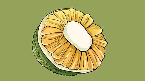 菠萝蜜籽煮多久能吃