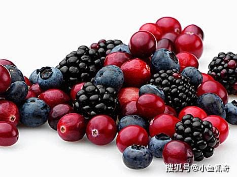 营养与口感双升级！揭秘蔓越莓、蓝莓、黑莓的健康秘密！