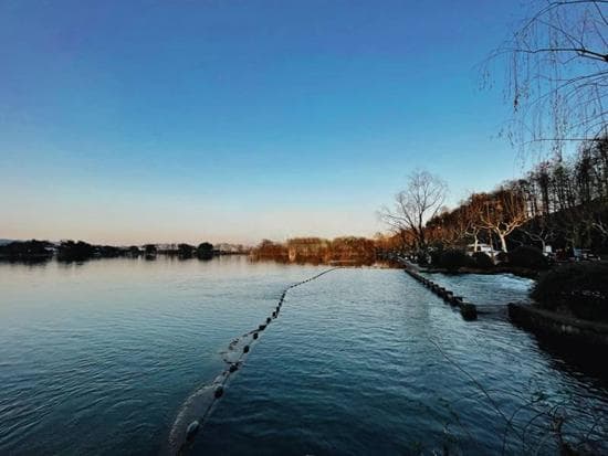 年轻人热衷找“搭子”，到底在找什么