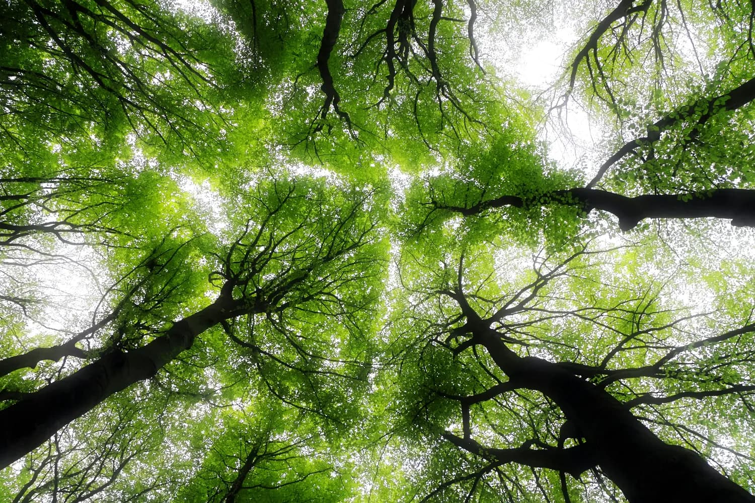 ISO14001环境管理认证：成本与收益的权衡分析