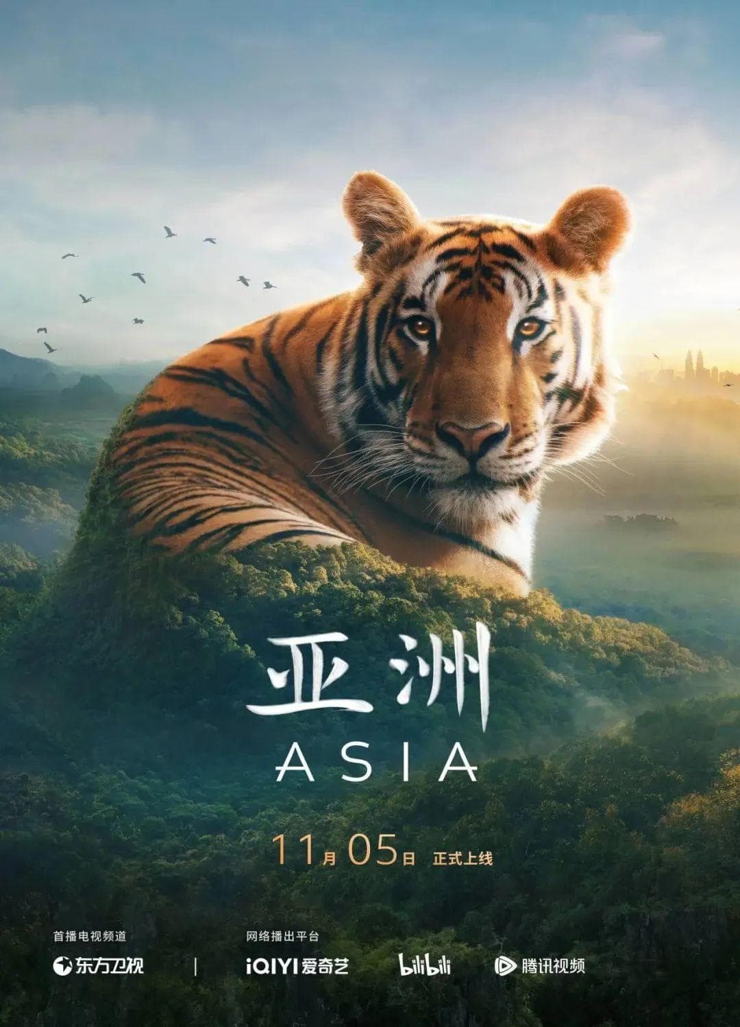 波涛之下，云端之上，纪录片《亚洲》打造属于亚洲的自然史诗