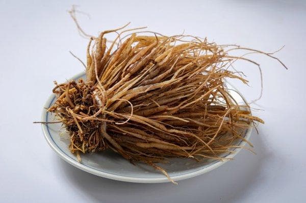 知母可以用什么中药代替
