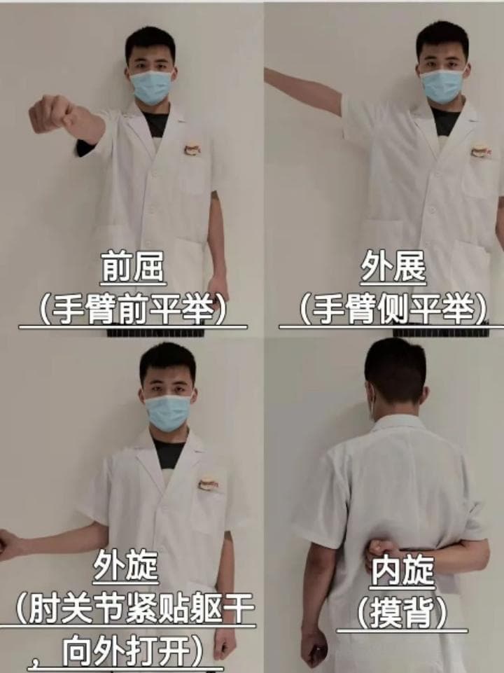康复——肘腕｜肱三头肌远端肌腱断裂修复术后康复程序