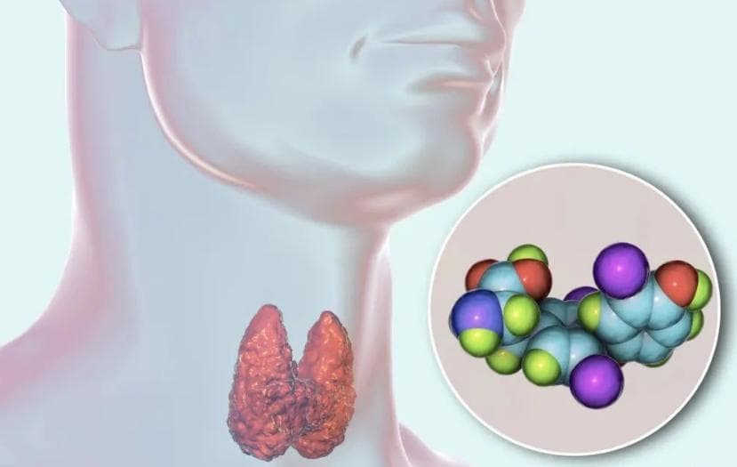 守护甲状腺健康，从重视尿碘检测开始！