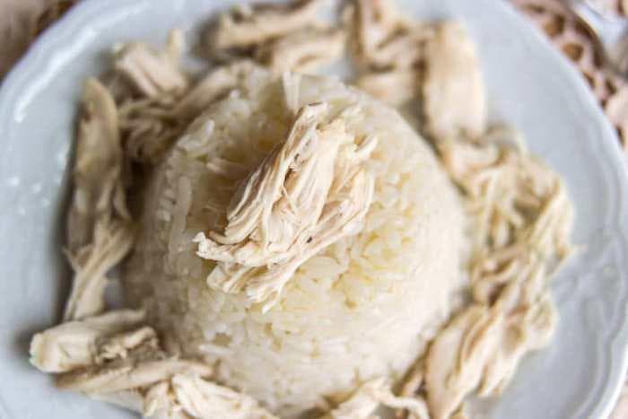 狗狗一天可以吃多少米饭和鸡胸肉？(狗狗鸡肉饭的配比及做法)