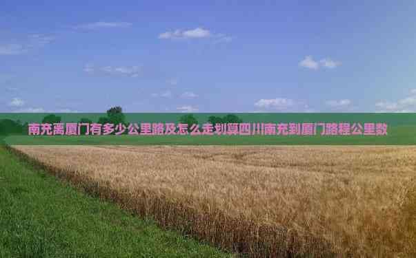 南充到厦门的多种出行方式及成本比较