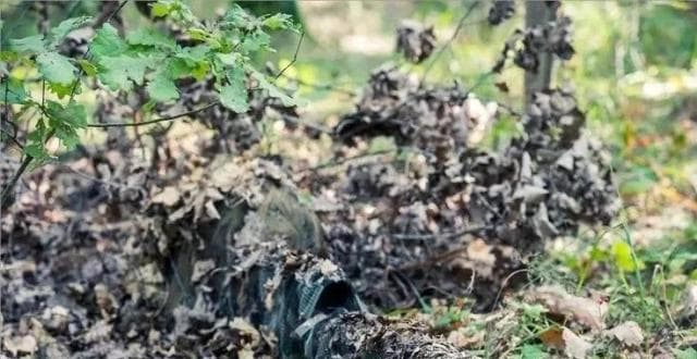 狙击手的战场定位：如何在现代战争中发挥关键作用？