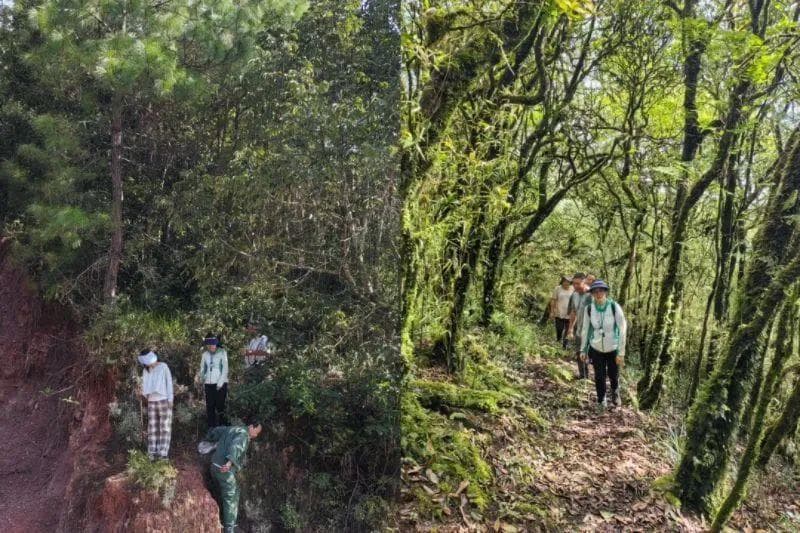 普洱市：茶马古道文化遗产保护与文旅融合的创新实践