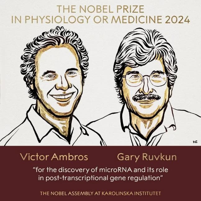 2024年诺贝尔生理学或医学奖微小RNA，让我们重新认识RNA的功能