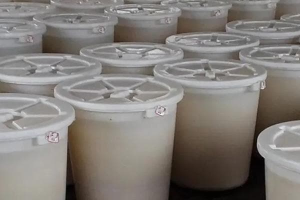 羊粪如何发酵才能作为肥料使用