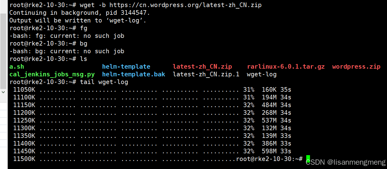 wget 命令介绍和使用案例