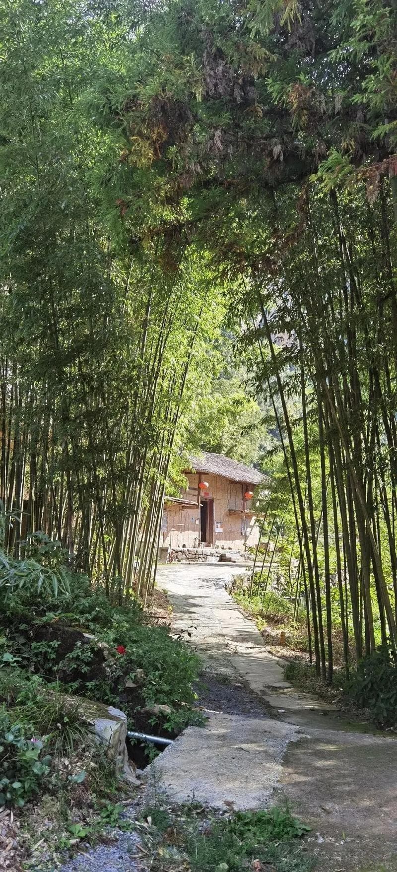 猪肘的历史文化背景研究