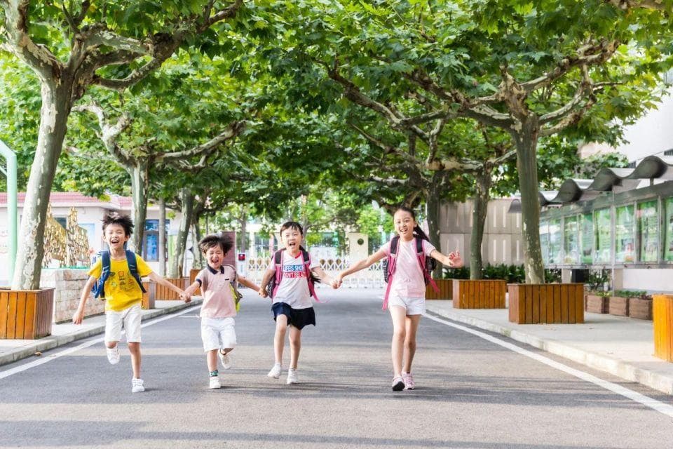 幼儿园孩子集体结婚，家长也支持，婚姻敏感期的价值，没这么肤浅