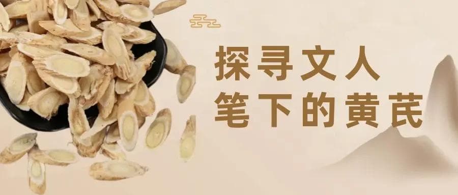 黄芪养生：从白居易到胡适的文人健康智慧