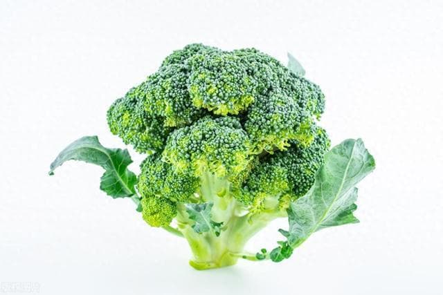 西兰花能生吃吗？健康新视角，西兰花生吃的奥秘与美味探索