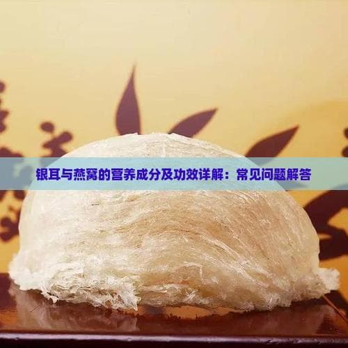 银耳与燕窝的营养成分及功效详解：常见问题解答