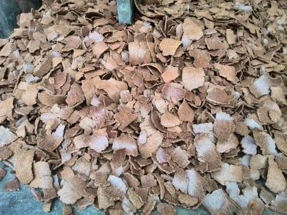 花生饼油枯处理制作有机肥的技术详解