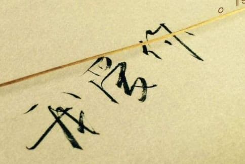 探寻“情”的深层含义