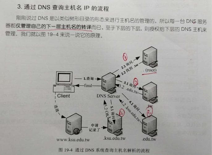 如何在Ubuntu系统中正确配置DNS以保障网络顺畅运行？