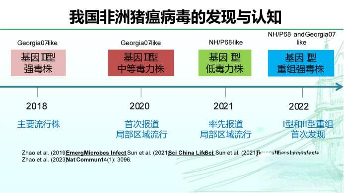 非洲猪瘟病毒重组毒株检测难！猪场防控如何与时俱进？