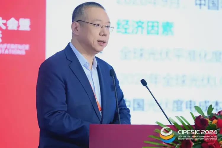 武飞卸任尚德电力董事长始末