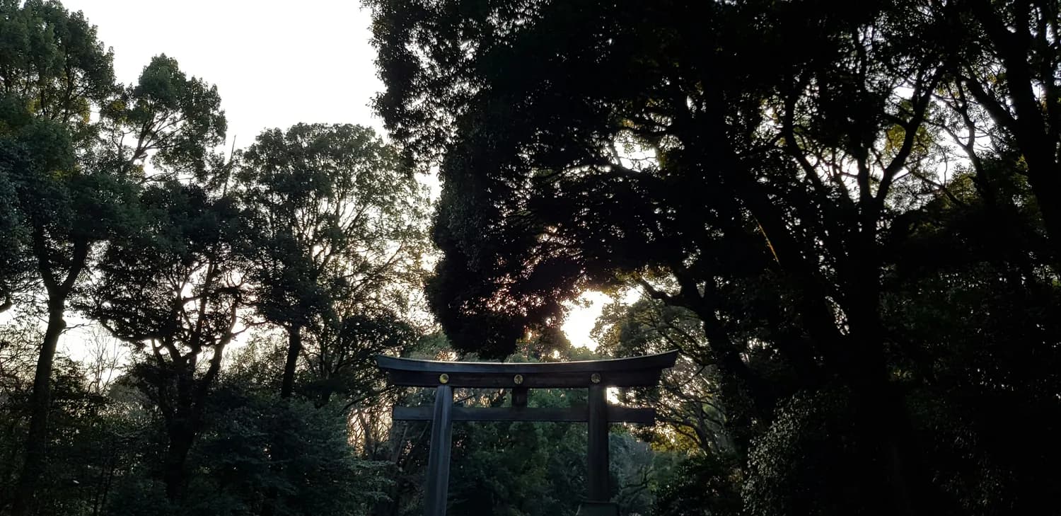 大阪出发！京都三大网红景点一日游完全攻略