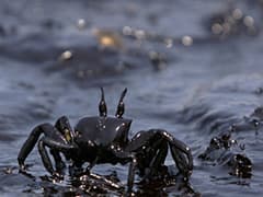 盘原油的价格情况是怎样的？这种价格情况反映了什么市场趋势？