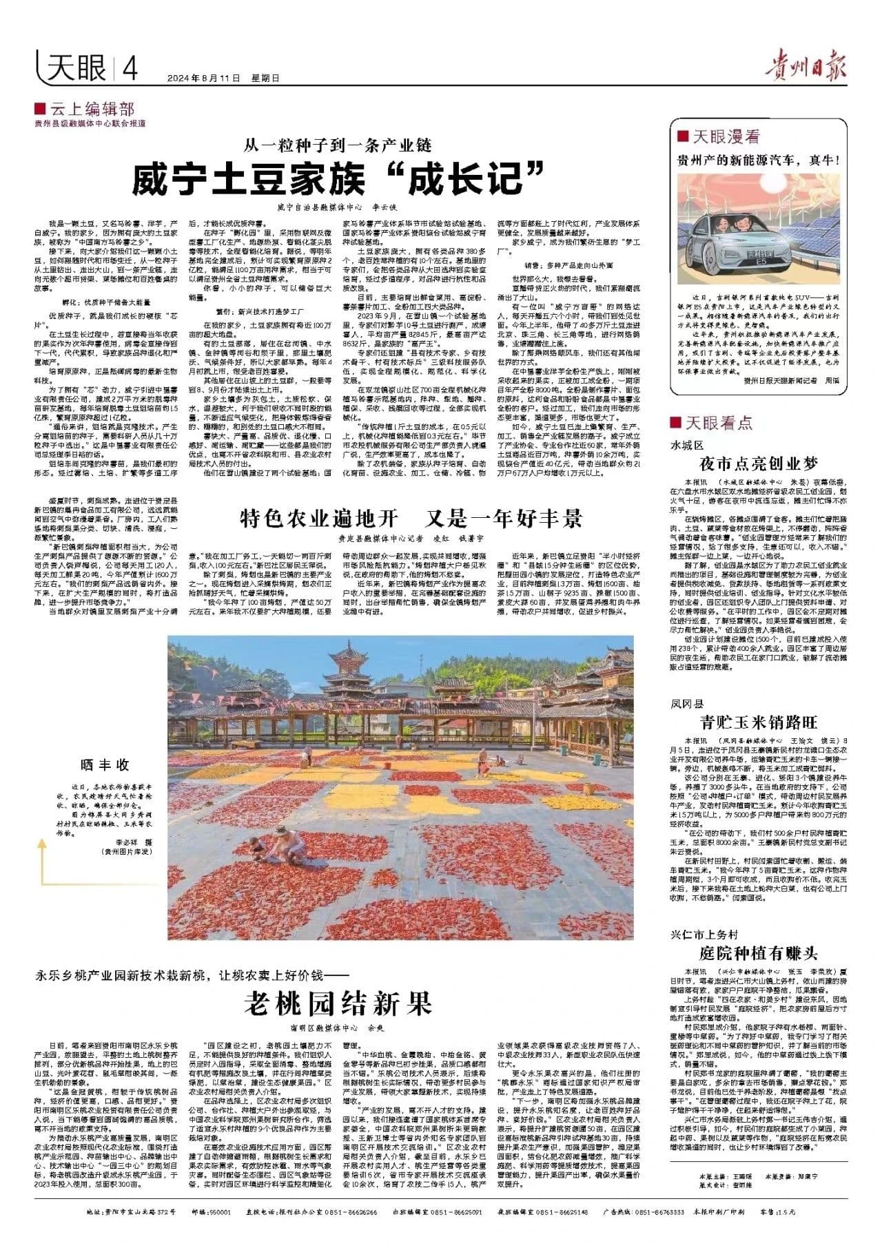 从一粒种子到一条产业链 威宁土豆家族“成长记”