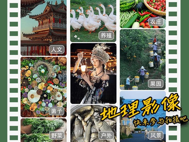 家庭农场是什么意思