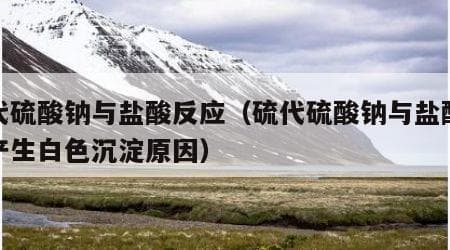 硫代硫酸钠与盐酸反应原理及产物分析