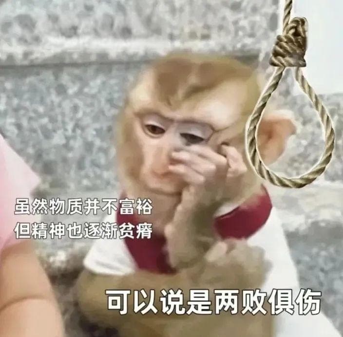 清北金融系学生也就业降级了，金融狗怎么应对降级人生