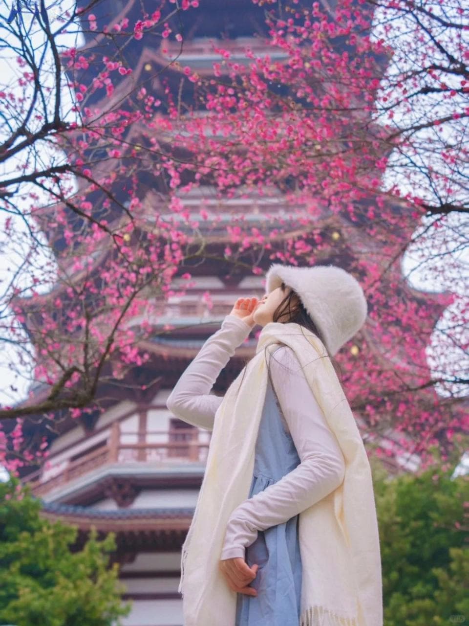 速报！长沙七大绝美梅花打卡地全公开，洋湖白鹭塔、烈士公园湖景…错过等一年！