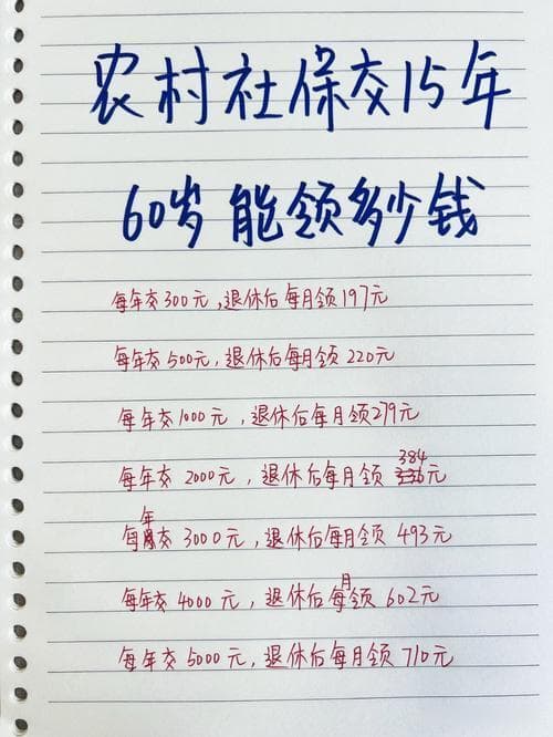 从农保到社保：农民工如何实现养老保障升级
