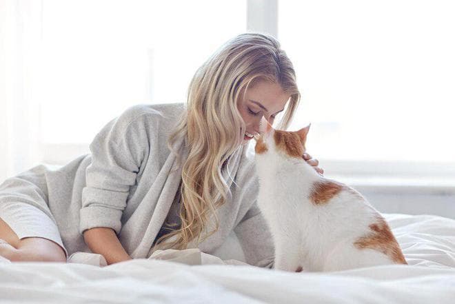 什么是全价猫粮？全价猫粮和普通猫粮有什么区别