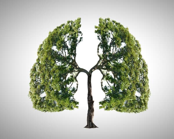 怎样预防肺结节