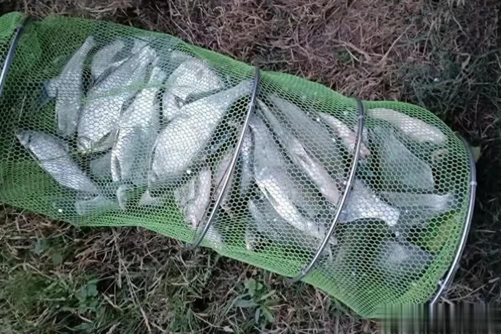钓鱼技巧：饵料轻重不同，调漂方法有何变化？