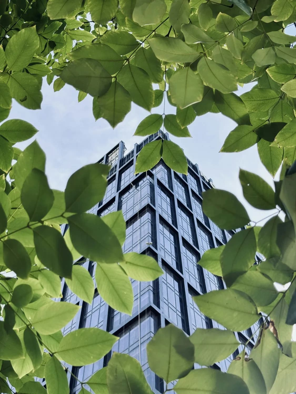 城发环境牵手南阳推进零碳建设，加码绿色建筑布局
