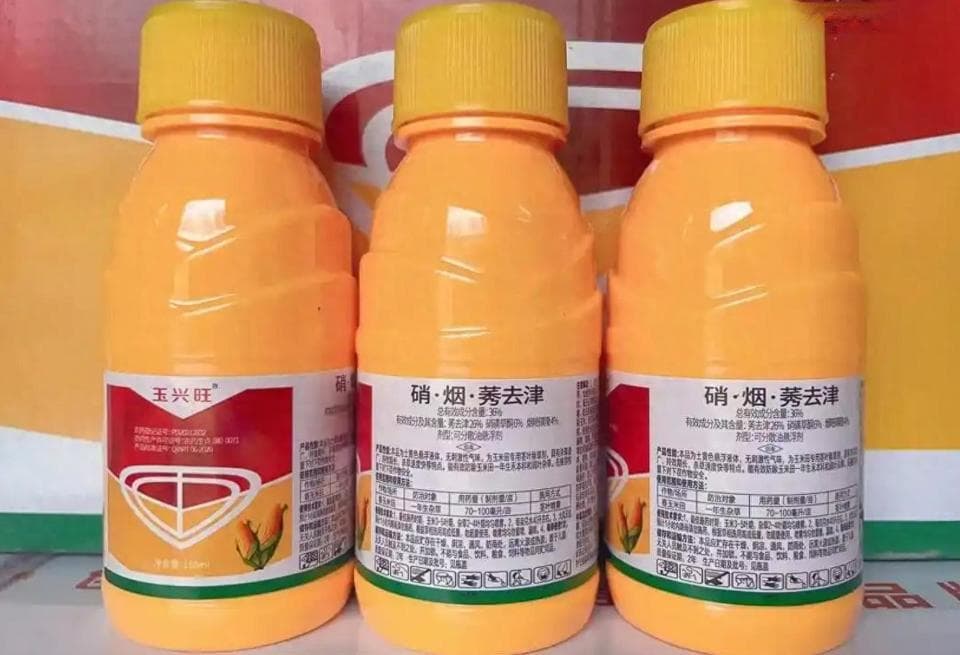 玉米除草剂怎么选，杂草有很多类，选错除草剂，玉米没法活
