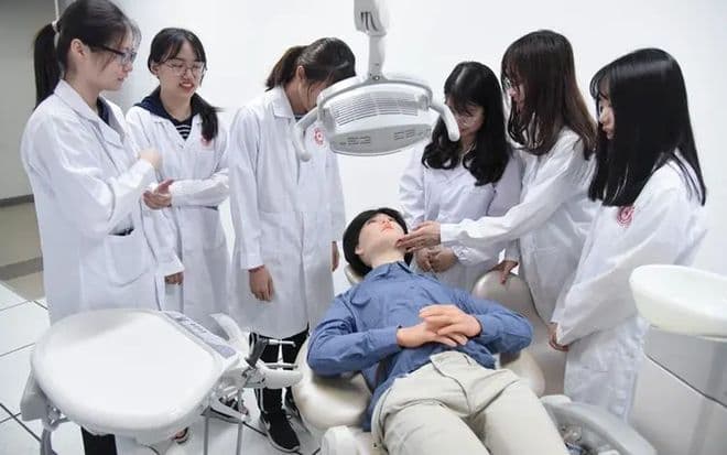 3D技术与虚拟现实如何提升口腔解剖教学效果