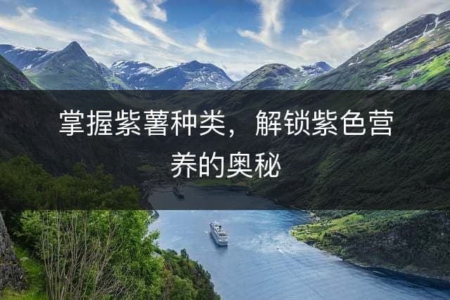 掌握紫薯种类，解锁紫色营养的奥秘